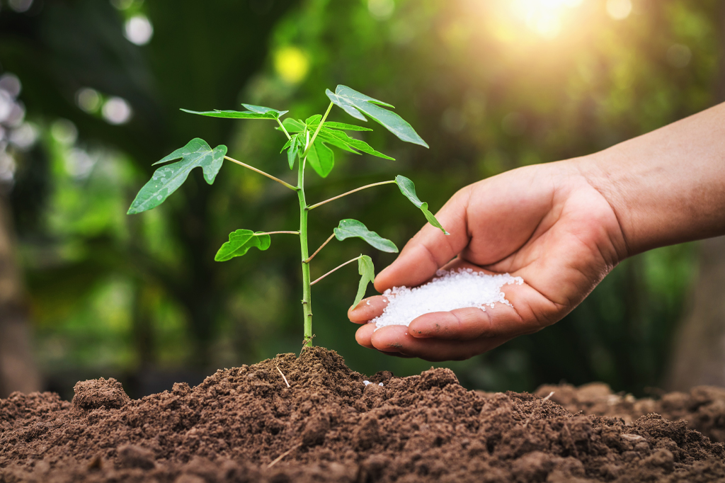An organic way of using fertilizers