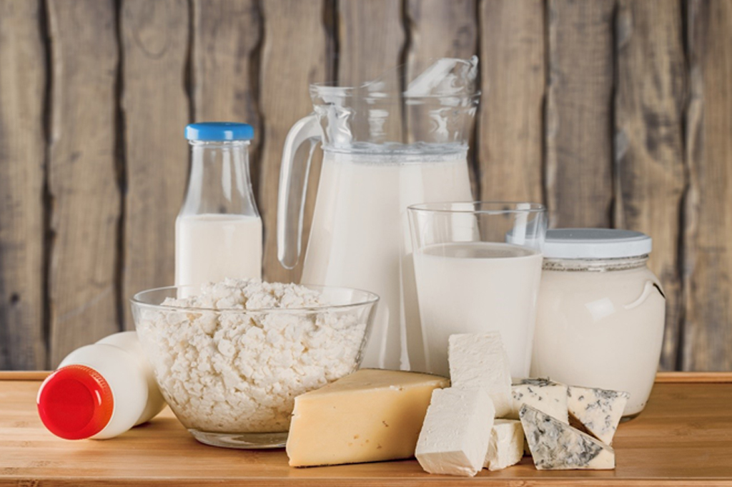 Application of Filters in the Dairy Products – Milk Manufacturing Process